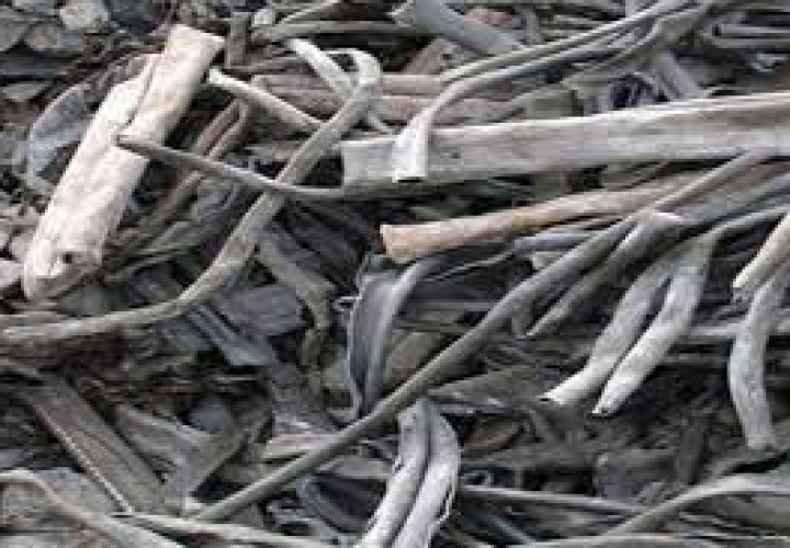 αρχείο λήψης